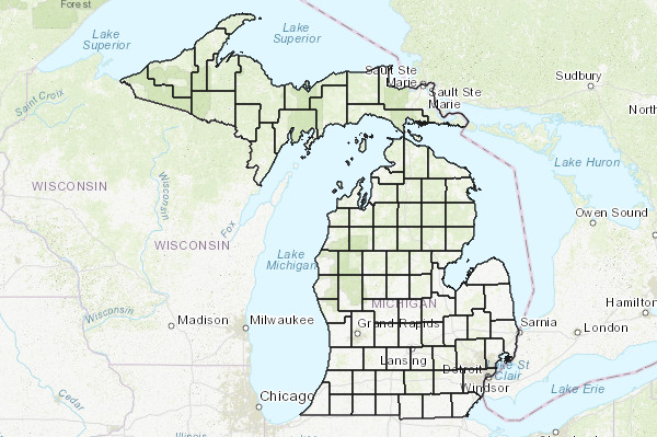 Michigan County Boundaries (v17a)