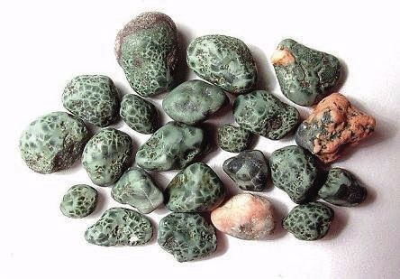 Greenstone (Chlorastrolite) specimens. The largest of these pebbles is ...